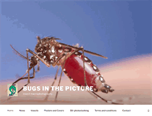 Tablet Screenshot of bugsinthepicture.com